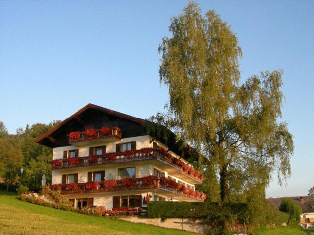 Pension Seeblick Attersee Εξωτερικό φωτογραφία
